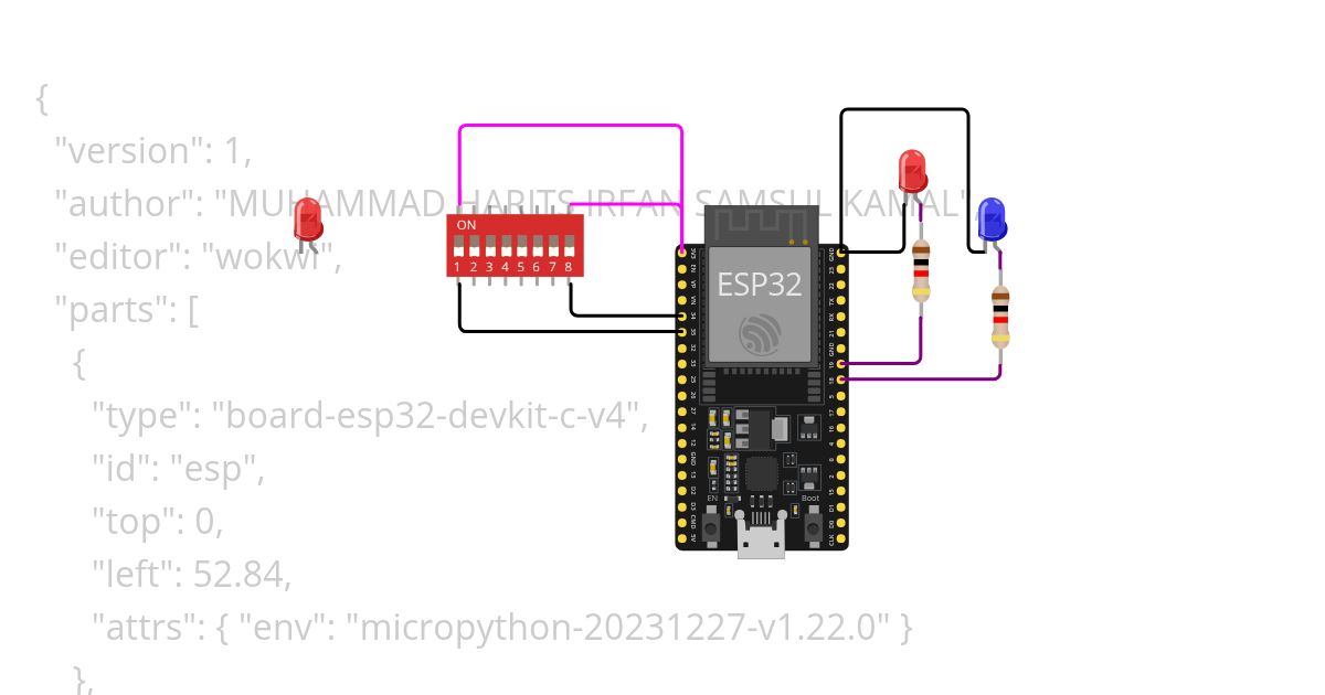 neng_lab_dpswitch simulation