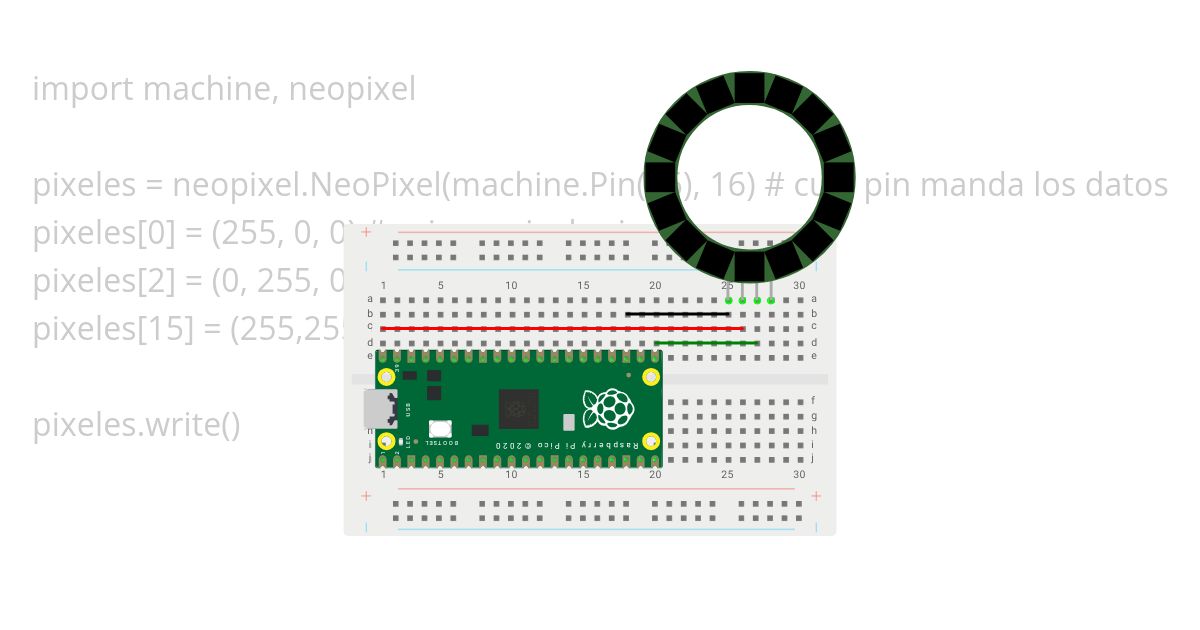 Neopixels simulation