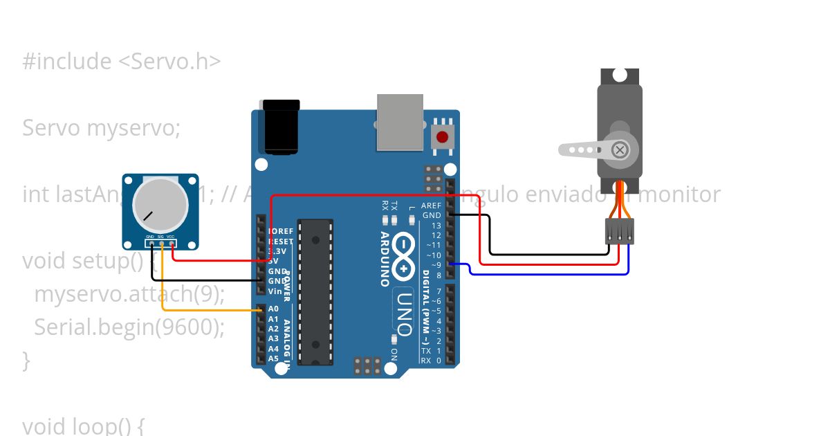 P19 simulation