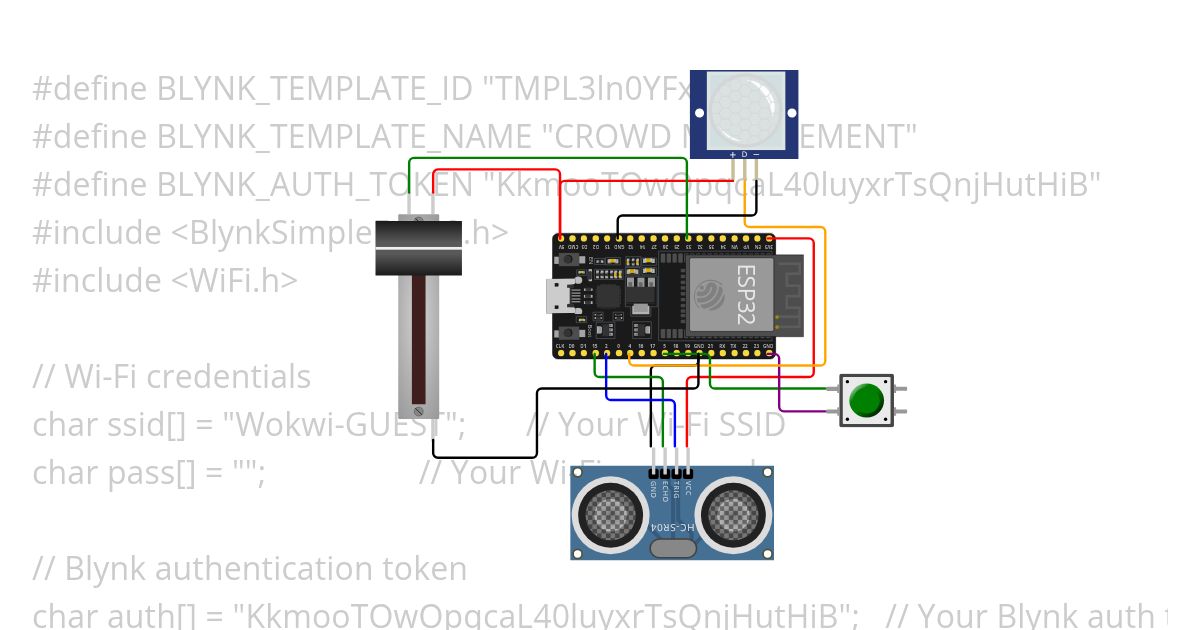 crowd management simulation